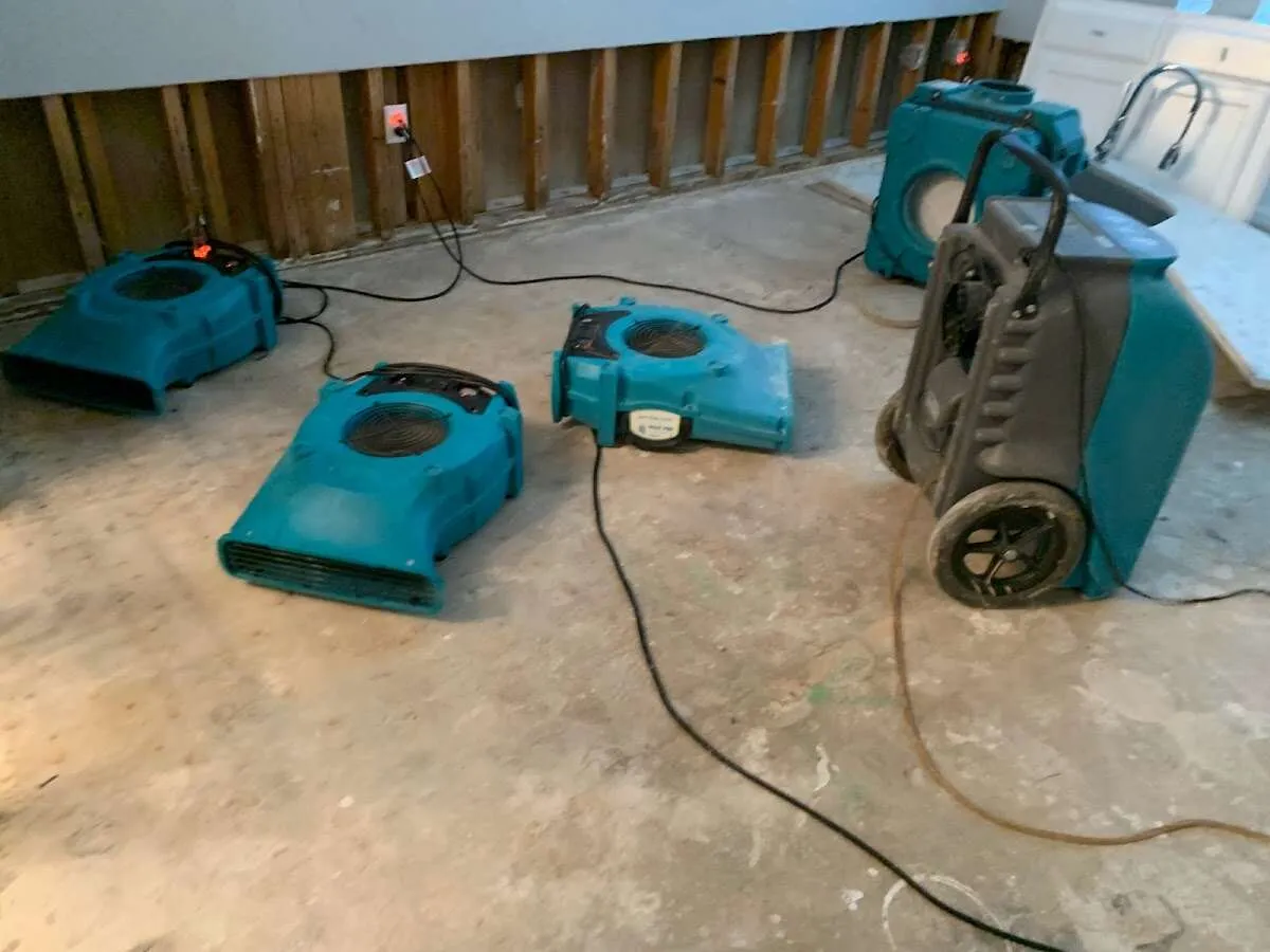 Drying & Dehumidification in Crozet, VA